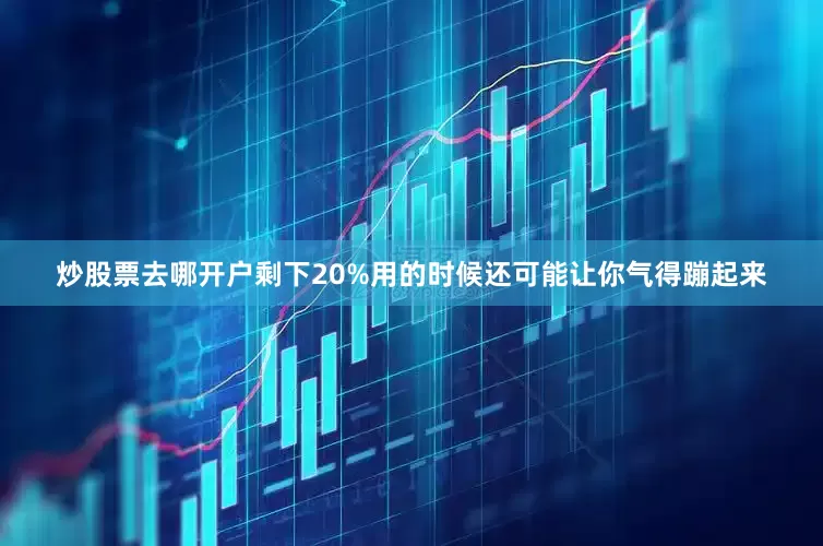 炒股票去哪开户剩下20%用的时候还可能让你气得蹦起来