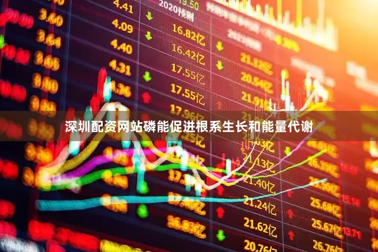 深圳配资网站磷能促进根系生长和能量代谢