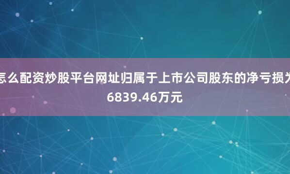 怎么配资炒股平台网址归属于上市公司股东的净亏损为6839.46万元